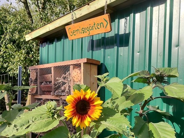 Gemüsegarten Workshop